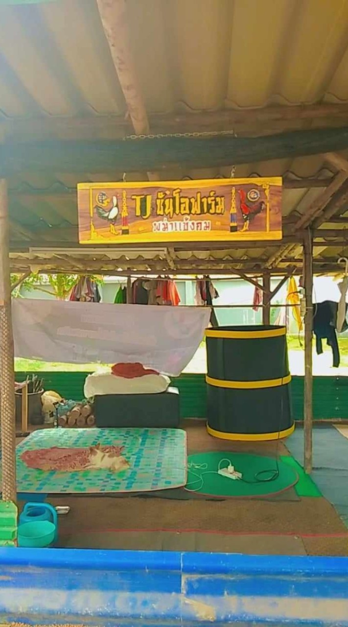TJซันโอฟาร์ม