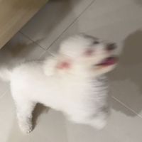 快樂源泉發電廠👀