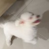 快樂源泉發電廠👀