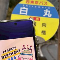 しろまる&おともだち