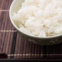 ごはん
