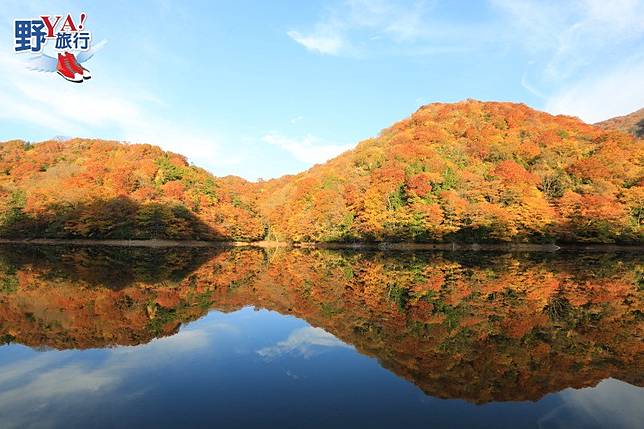 五能線傳統文化巡禮 世界遺產白神山地十二湖 野旅行 Line Today