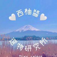 《西柚醬の選物研究所❤️Theo Select❤️》