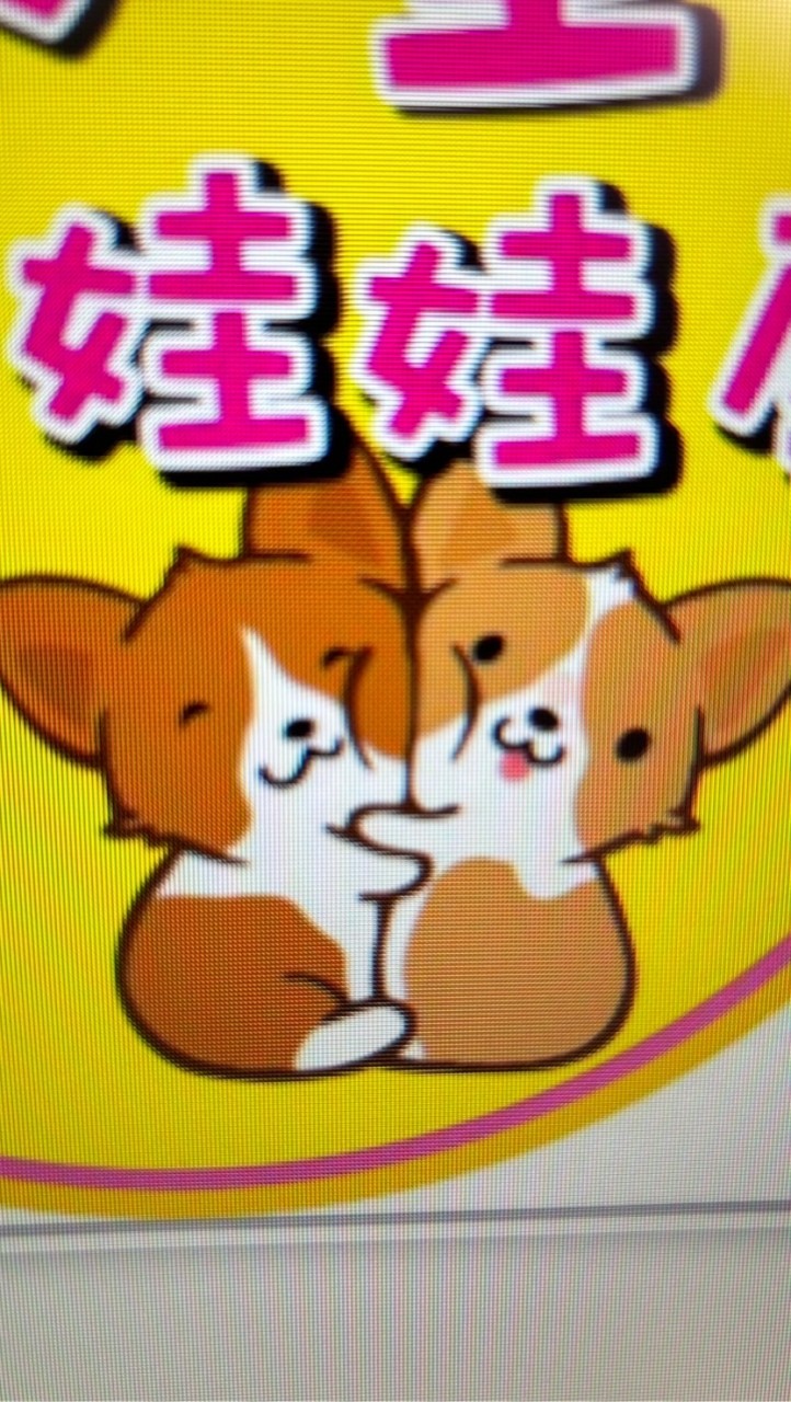 柯基哥戲說打台