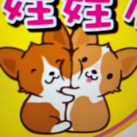 柯基哥戲說打台