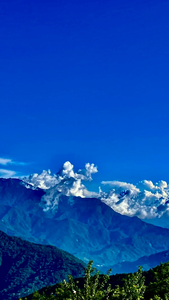 林家
