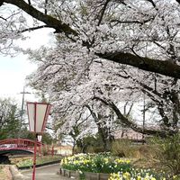 西三島掲示板