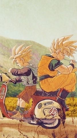 ドラゴンボール合宿　2026年9月