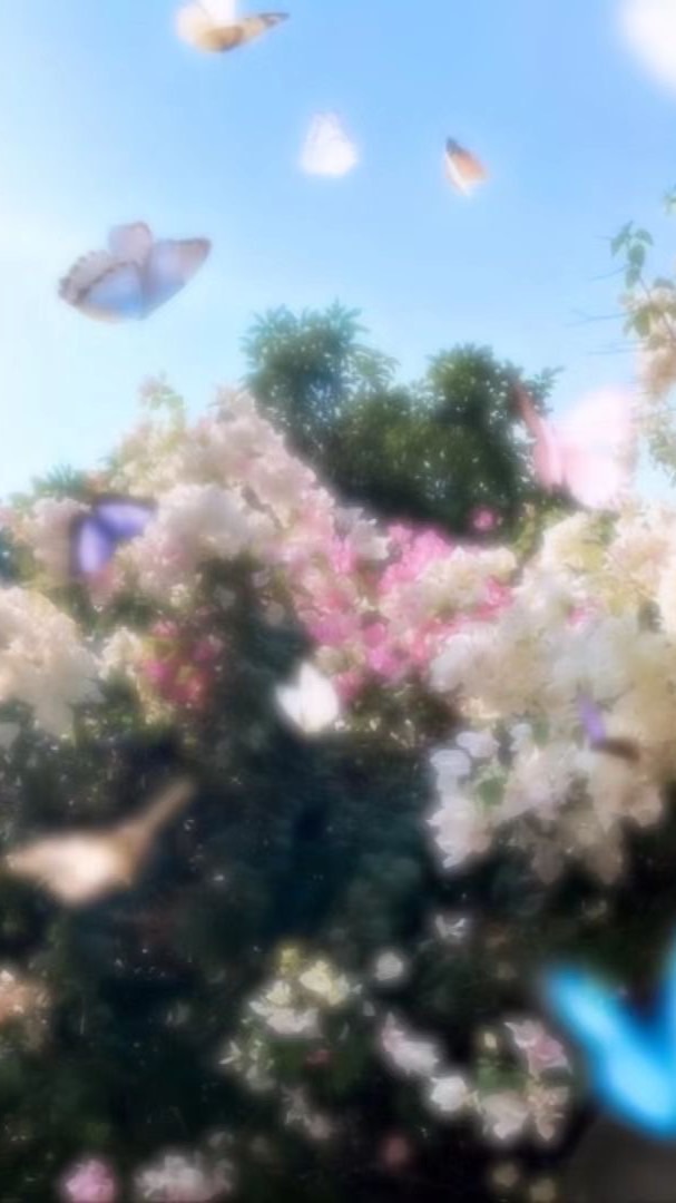 『 芸能人也 』