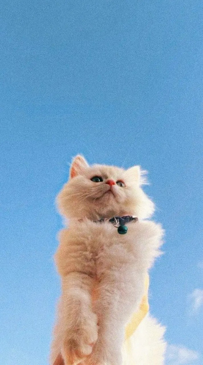 豪盆有群♡☆