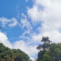 st光禾館vip經營推廣社團