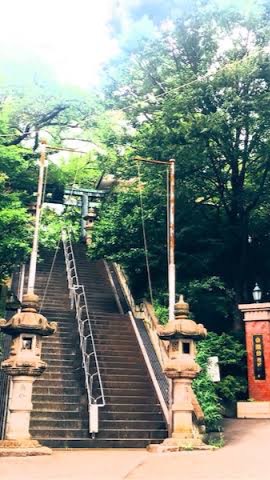駿台市谷生/河合塾麹町校生/駿茶他　医学部志望の集い
