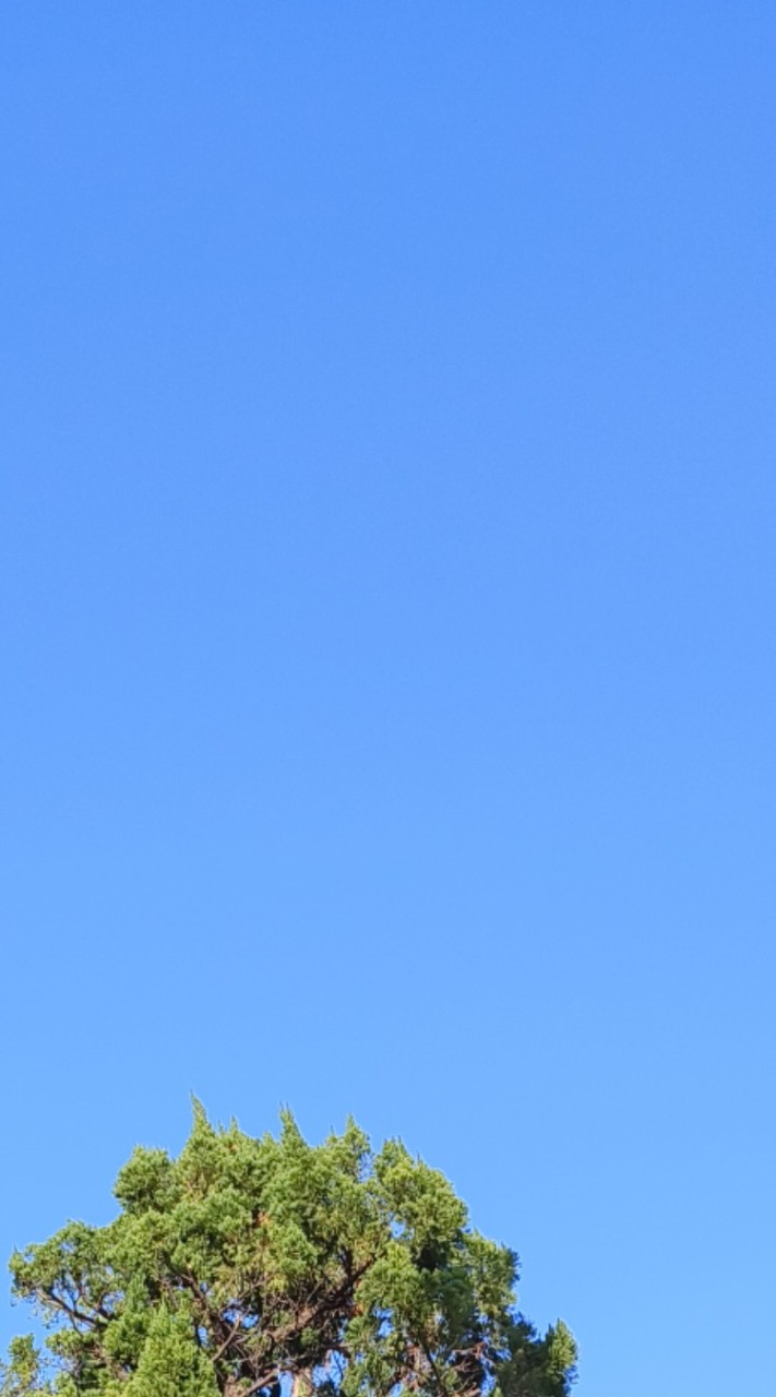 🙋張淑惠老師🌟巨量資料與雲端服務應用專題_文化資管