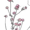 新高二のイラスト部！！