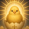 🐣共和国🐣