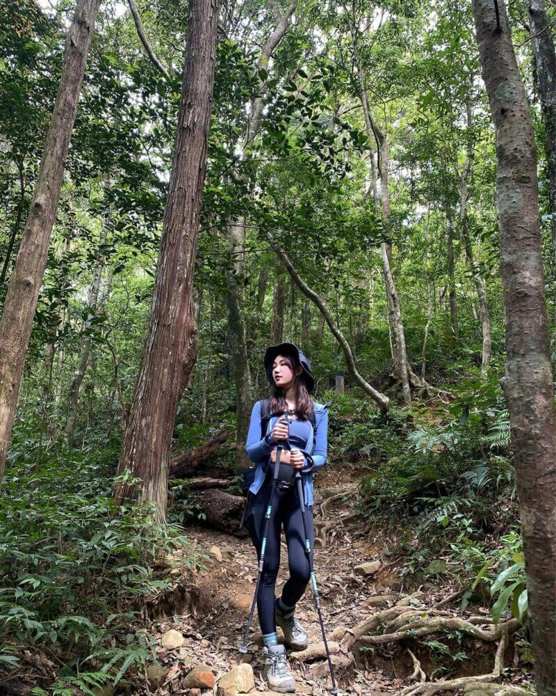 北得拉曼巨木步道