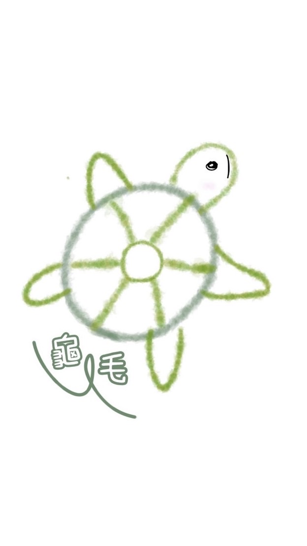 龜毛兩棲爬蟲