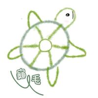 龜毛兩棲爬蟲