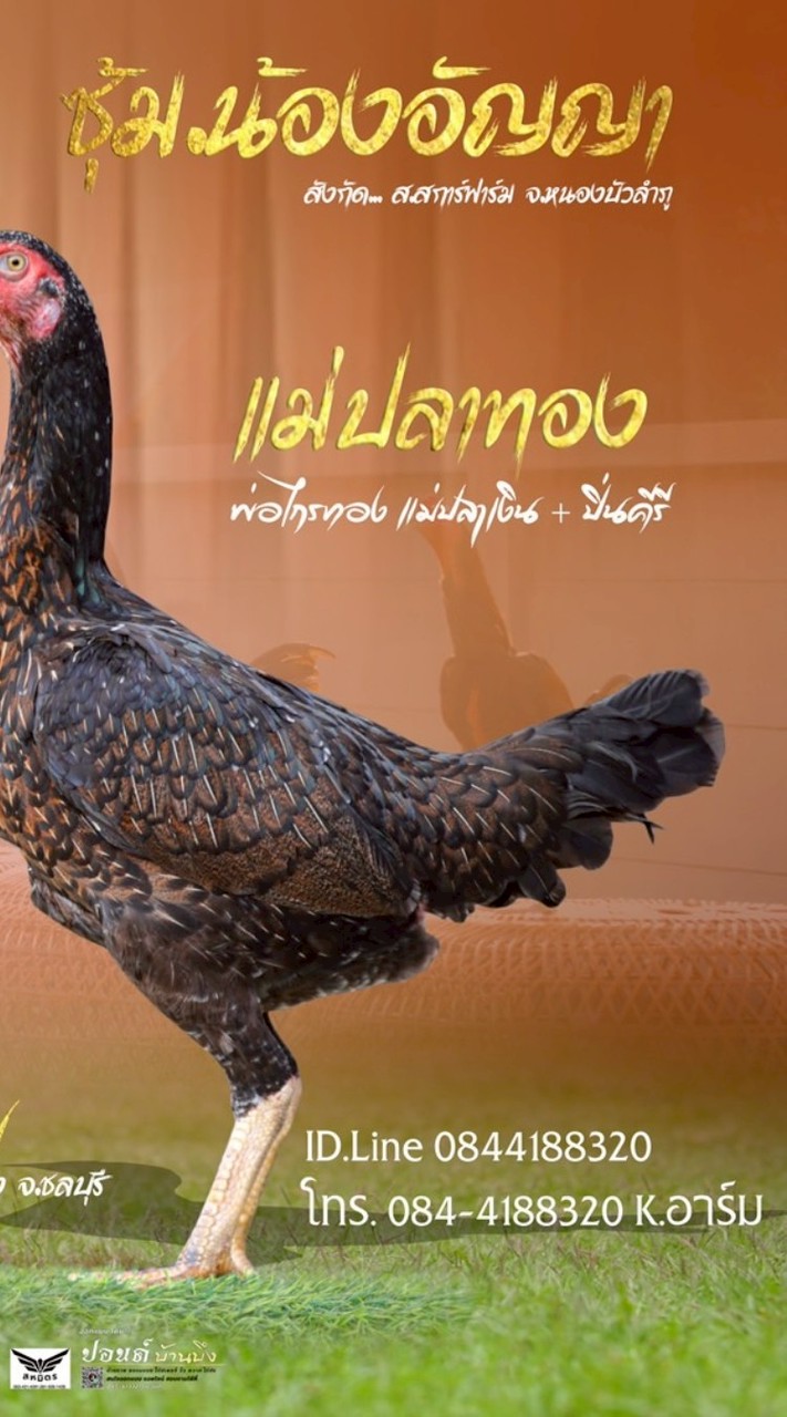 ซุ้ม.น้องอัญญา