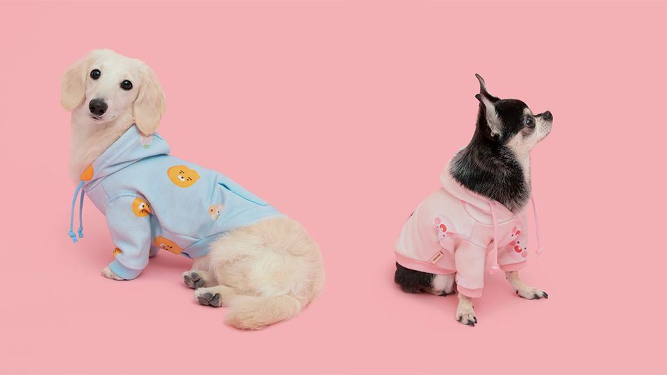 圖片來源：KAKAO FRIENDS.KR