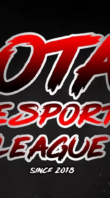 Ota E-Sport League