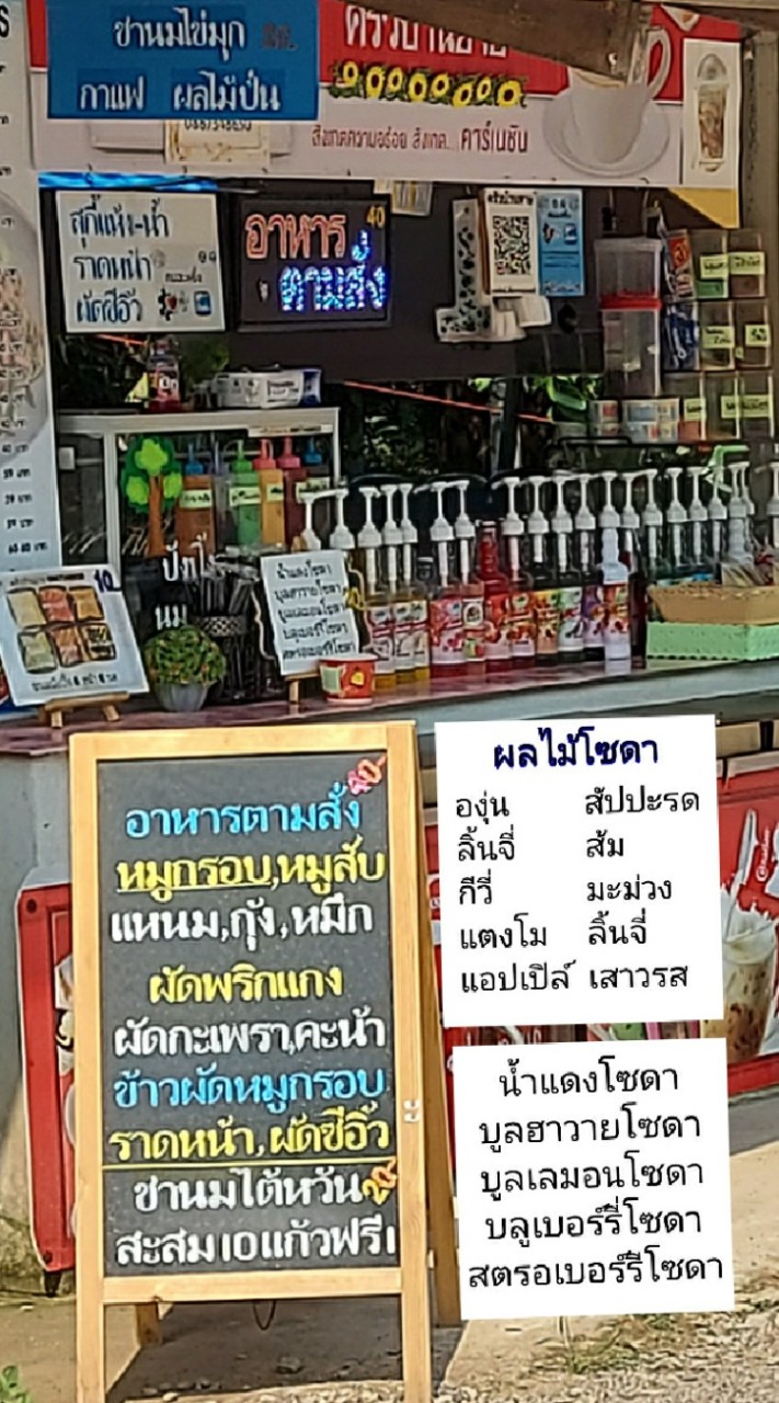 ประกาศฟรี ชุมพร