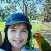 🌐🕊️ ตลาดคนรักต้นไม้ & นก (นานาชาติ)