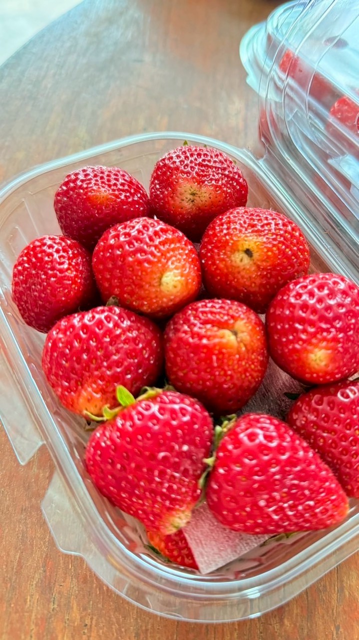 ออเดอร์ผลไม้ตามฤดูกาล 🍓🍇🍎🍋🍌🍊🍉🍍🍒🍏🥝🥥🥑🫐🍈🥭