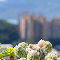 台灣的諮商職缺與專業訓練訊息
