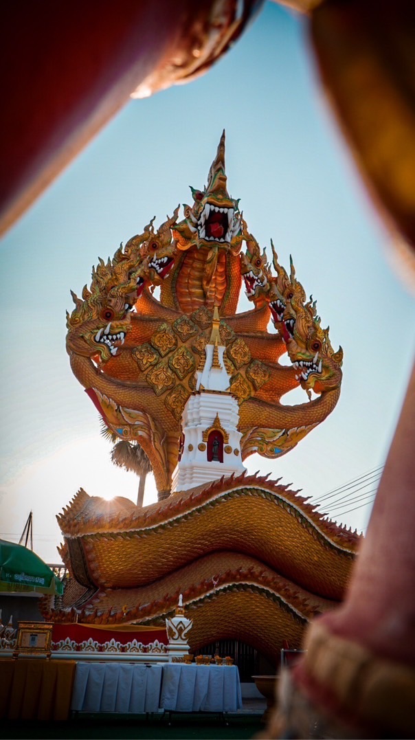 วัดหัวดอน นครพนม