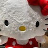รับหิ้วสินค้าsanrio แท้100% งานsale