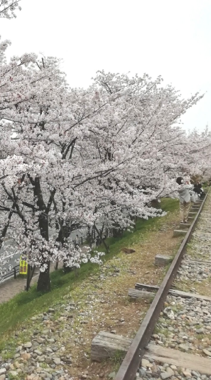 京都市　左京区