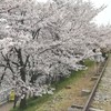 京都市　左京区