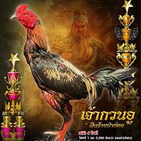 ซุ้มไก่ชนบ้านสวนฮิมทาง