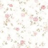 𝑨𝒏𝒊𝒎𝒆 / อนิเมะ