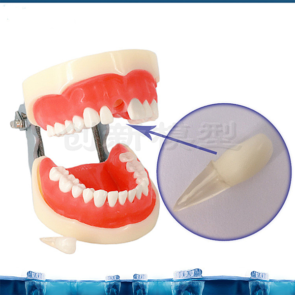 尺寸兩種以上請詢問報價