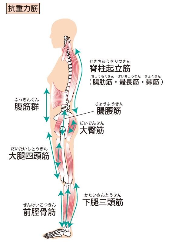 背中で指を組めない人は体がゆがんでいる