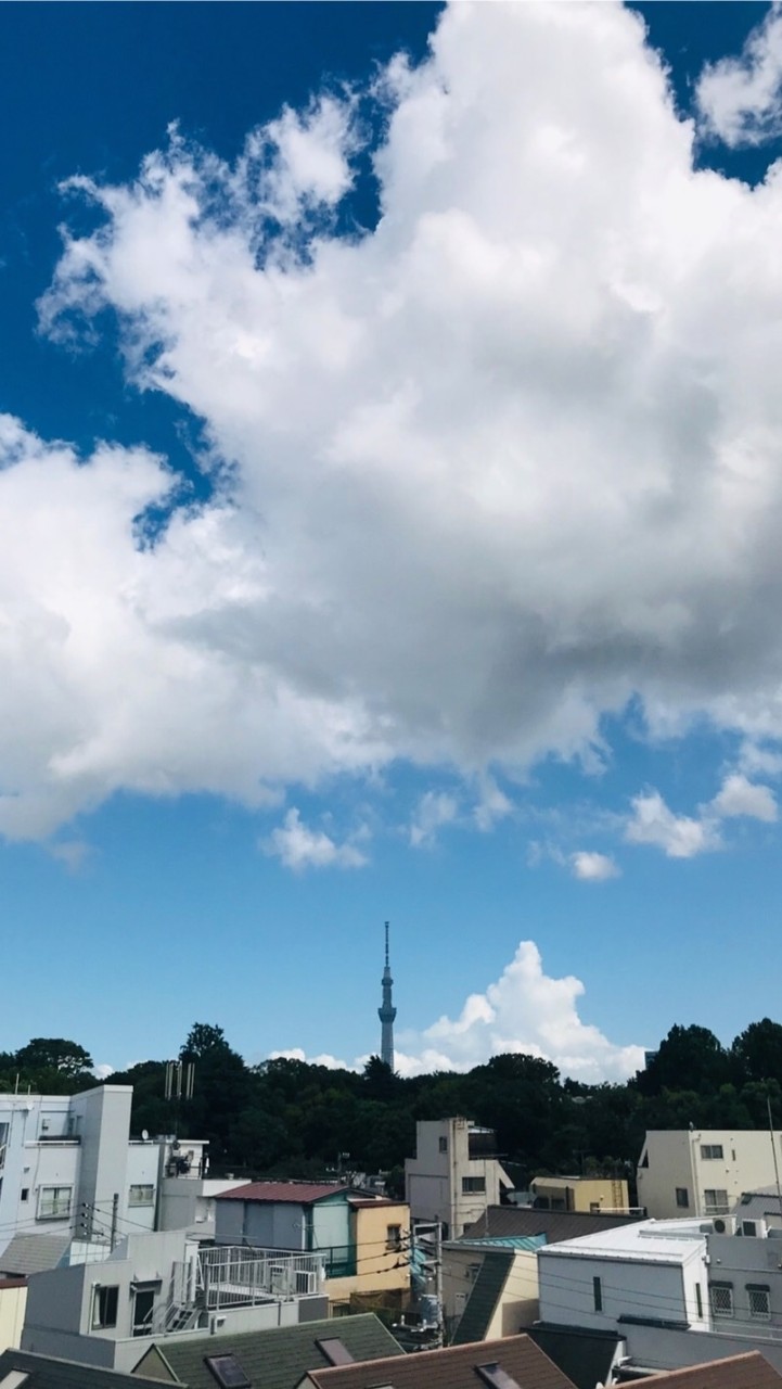 (SA) HOTEL GRAPHY 根津