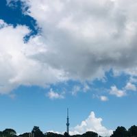 (SA) HOTEL GRAPHY 根津