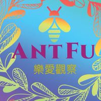社會性昆蟲 🐜螞蟻 蜜蜂🐝 白蟻🪳的家