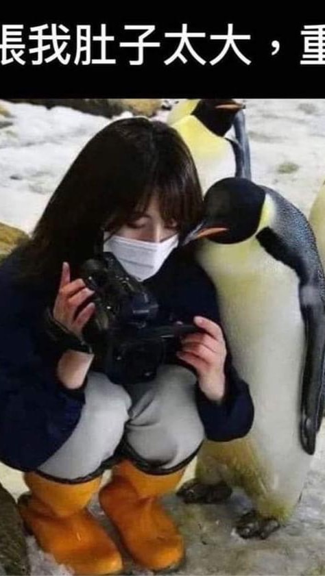玩蛋惹