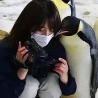 玩蛋惹