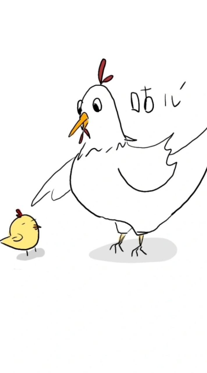 CO雞雞插畫文創