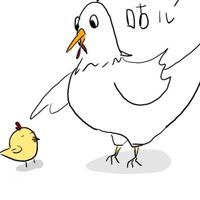 CO雞雞插畫文創