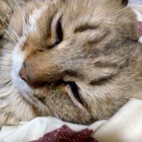 誰でも大歓迎！　色んな人と話したい✨