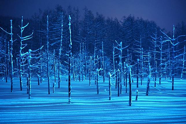 白雪下的青池除了星光 還有燈光 冬季限定的北海道夜間賞雪路線 是日日本 Line Today