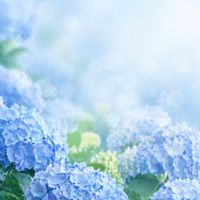 女生愛旅遊