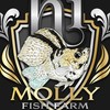 Hi Molly Fish 🐠
