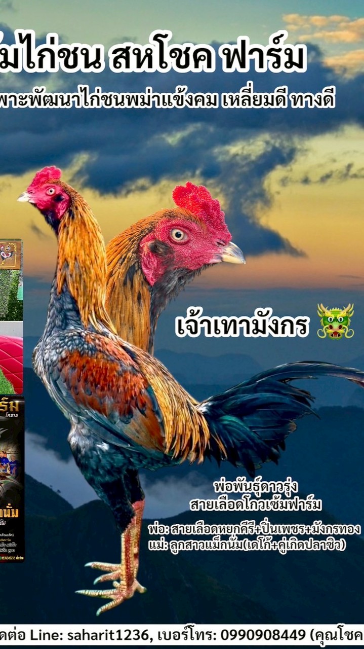 สหโชค ฟาร์ม