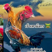 สหโชค ฟาร์ม